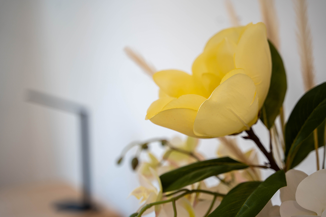 attraction bureaux location de bureaux privatifs à toulouse décoration fleurs